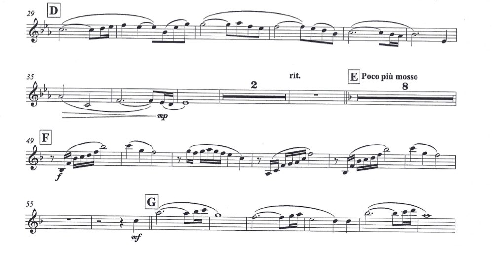 Schott Easy Concert Pieces Violin 1 – Thomann Portuguesa